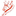 Masfout