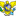 United States Virgin Islands (Women)