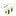 CD Santa Amalia