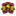 Atletico Hidalgo