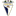 Manchego Ciudad