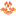 Marimoo