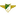 Moreirense