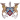 아즈