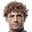 Wessel Dammers