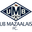 UBマザーライヌード