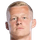 Nikola Storm
