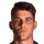 Romeo Bertani