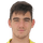 Stipe Vulikic