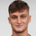 Alen mehic