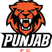 RondGlass Punjab