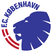 FC Copenhague U17