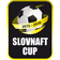 كأس سلوفاكيا