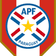 Paraguayan Cup