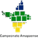 BRA Amapazap