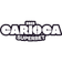 Brazilian Campeonato Carioca A