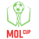 체코 컵