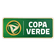 Brazilian Copa Verde