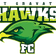 Mount Gravatt Hawks