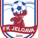 Елгава