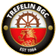 Trefelin BGC