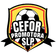 Cefor Promotora San Luis