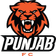 Minerva Punjab