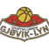 Gjøvik-Lyn
