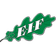 エケナス IF