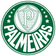 Palmeiras Youth